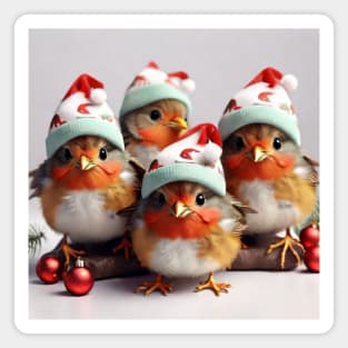 Christmas Robins Magnet